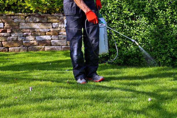 Best Rodent Control (Mice, Rats)  in Divernon, IL